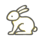Rabbit Sales Ban By-Law